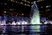 16th Dec 2011 - Fountain, Tree & Lights