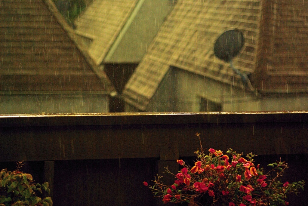 Grainy Rainy by cjphoto