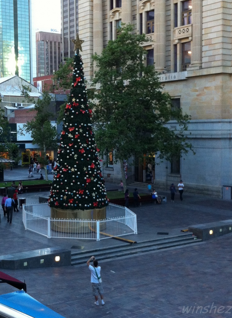 forrest place tree by winshez