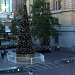 forrest place tree by winshez