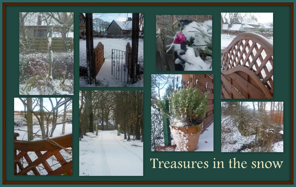Treasures in the snow by sarah19