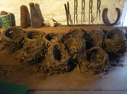15th Nov 2011 - Swallows Nests