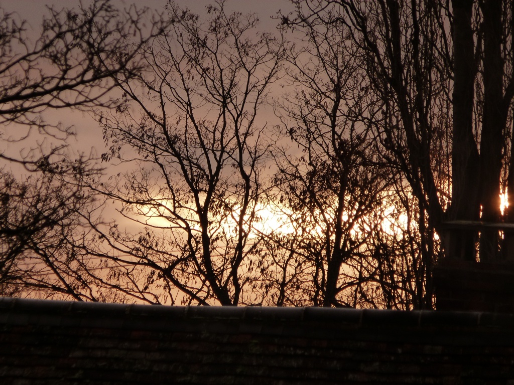 Sunrise by rosiekind