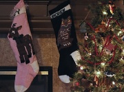 18th Dec 2011 - Stockings