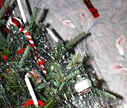 19th Dec 2011 - Christmas countdown - day 6