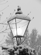 15th Dec 2011 - Mars Avenue Lamp