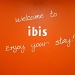The Ibis by kjarn