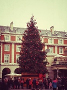 19th Dec 2011 - Christmas tree - Covent Gardens