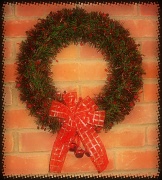 19th Dec 2011 - Soft Wreath