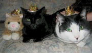 19th Dec 2011 - We Three Kings