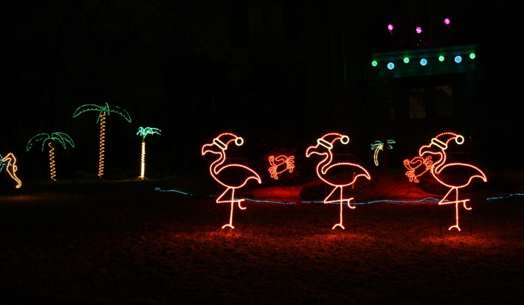 Outdoor holiday lights by mittens