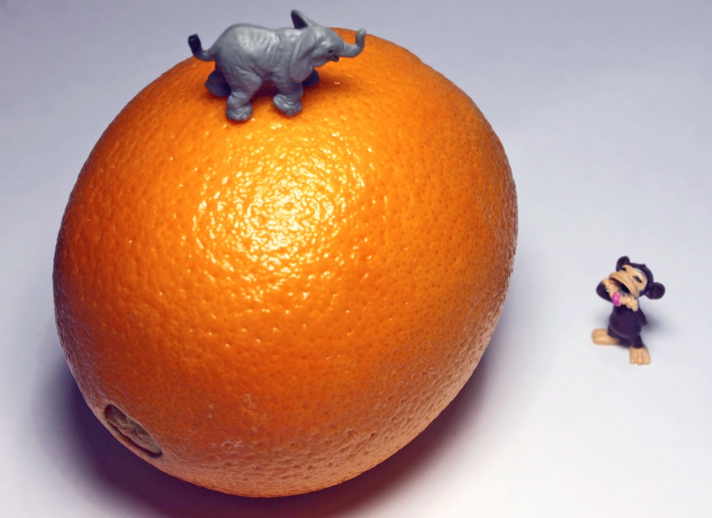 Big Juicy Orange by lisabell