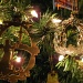 Ornaments by grammyn