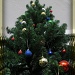 things that say "merry Christmas" - trees by summerfield