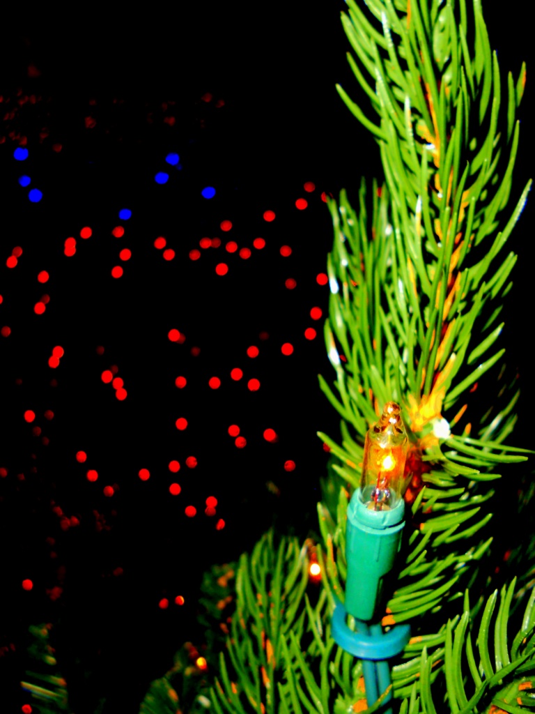 Christmas lights by yentlski