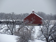 14th Dec 2011 - Wienen Barn - Winter