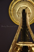 19th Dec 2011 - Seattle Space Needle