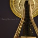 Seattle Space Needle by mamabec