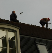 19th Dec 2011 - Catching the birds
