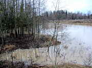 20th Dec 2011 - Flooding river IMG_1626