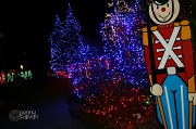 19th Dec 2011 - Rotary Lights 353_12_2011