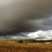 Storm brewing over the wheatlands by eleanor
