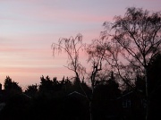 20th Dec 2011 - Sunrise from my bedroom window
