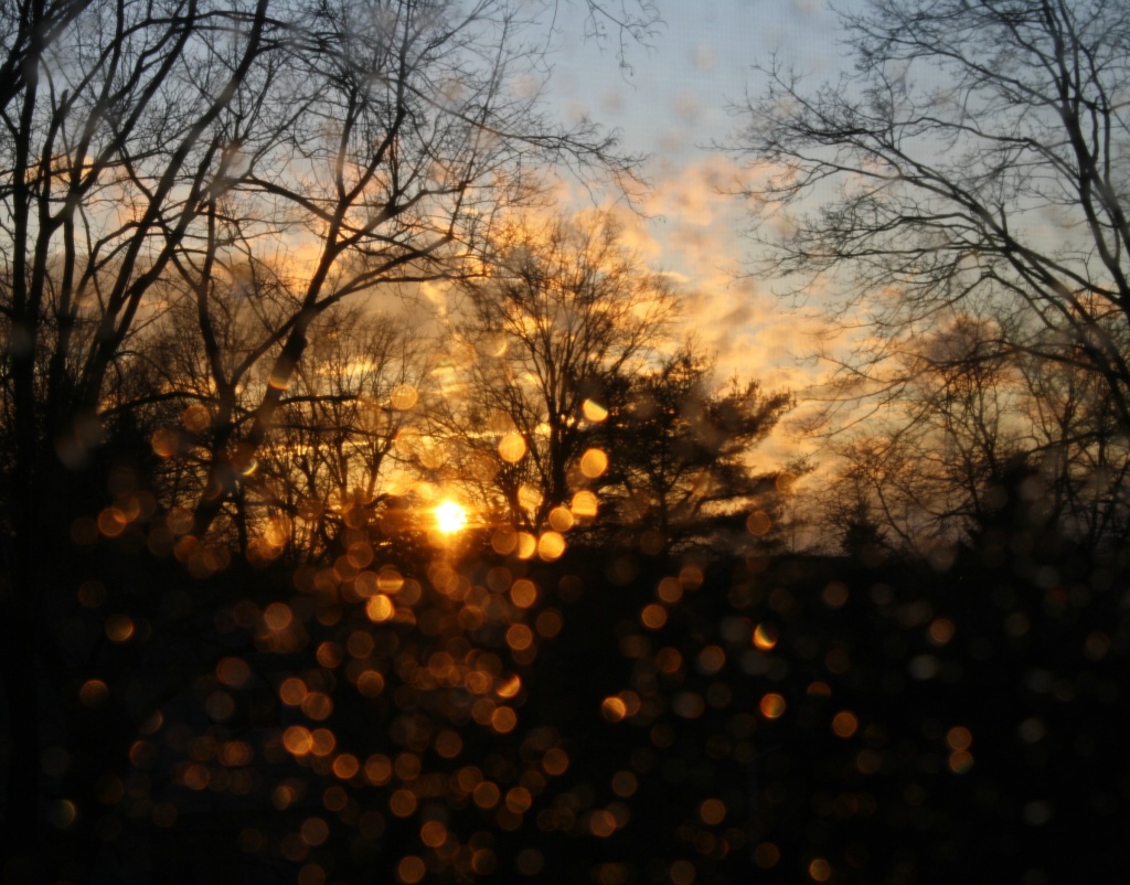 A little later after the storm (with bokeh, too) by mittens