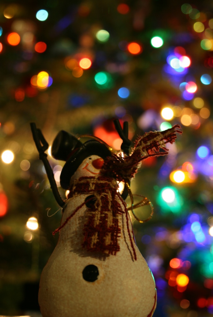 Frosty and Bokeh by kerristephens