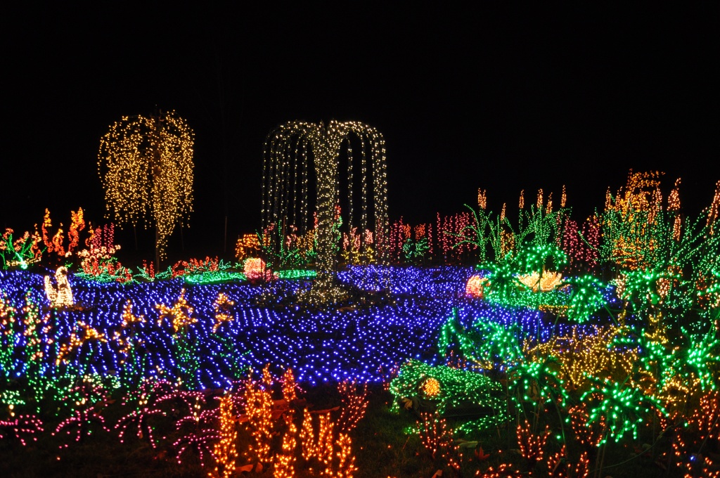 Garden Of D'lights by mamabec