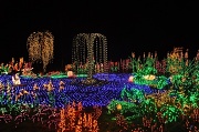 21st Dec 2011 - Garden Of D'lights
