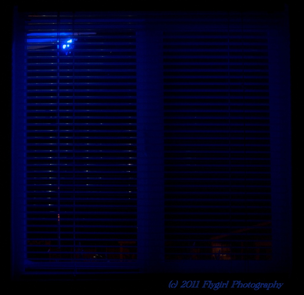 Blue window II by flygirl