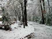 22nd Dec 2011 - My Driveway