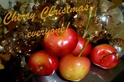 22nd Dec 2011 - Christmas card