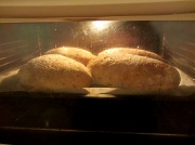 11th Dec 2011 - Bread IMG_1674