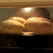 Bread IMG_1674 by annelis