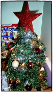 21st Dec 2011 - O Christmas Tree