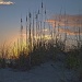Captiva Beach Sunset by twofunlabs