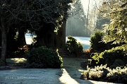 22nd Dec 2011 - Cold Frosty Morning