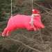 Now Dasher, now Dancer, Now Prancer, now Porky - Christmas pigs might fly by lbmcshutter
