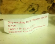 23rd Dec 2011 - A nice fortune
