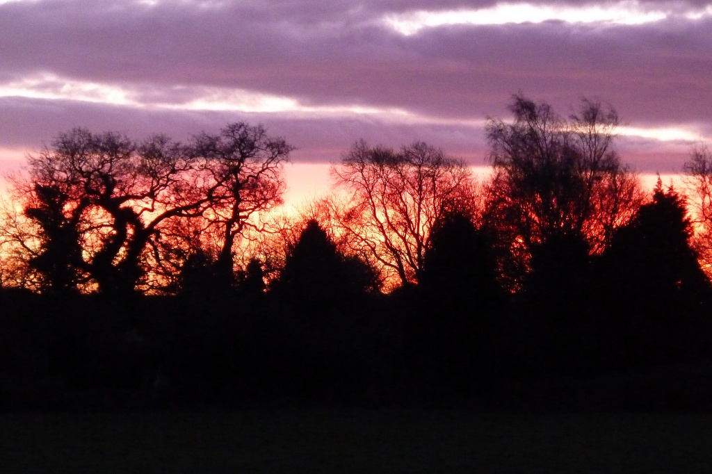 Another sunrise shot by shepherdman