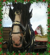 23rd Dec 2011 - Santa Claus is Coming To Town