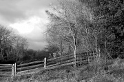 24th Dec 2011 - Meadow On A Hillside