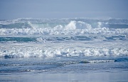 24th Dec 2011 - Surf Advisory