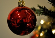 24th Dec 2011 - Christmas Lights