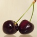 Cherries by salza