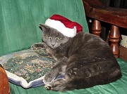 24th Dec 2011 - Broketail Claus
