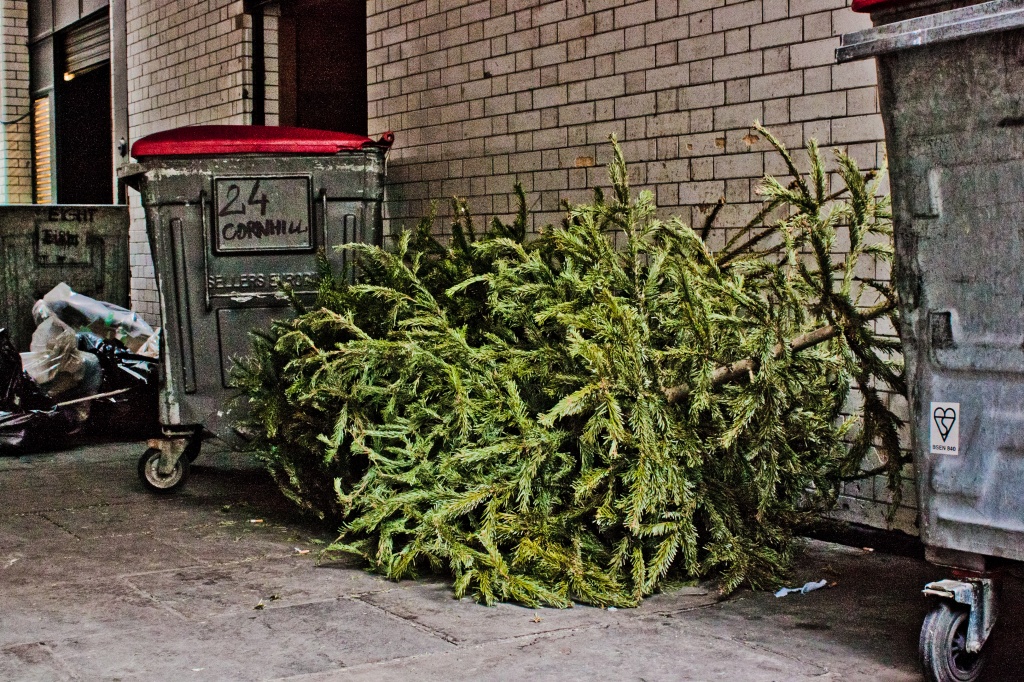 For "yule" tree, Christmas is over ... by edpartridge