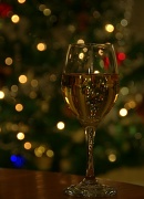24th Dec 2011 - Chardonnay and Bokeh